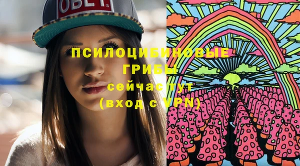 стафф Семилуки