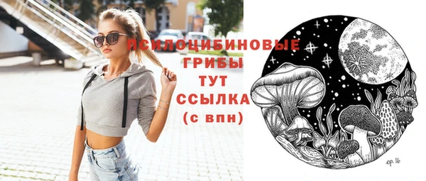 стафф Семилуки