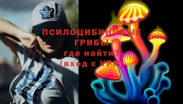 стафф Семилуки