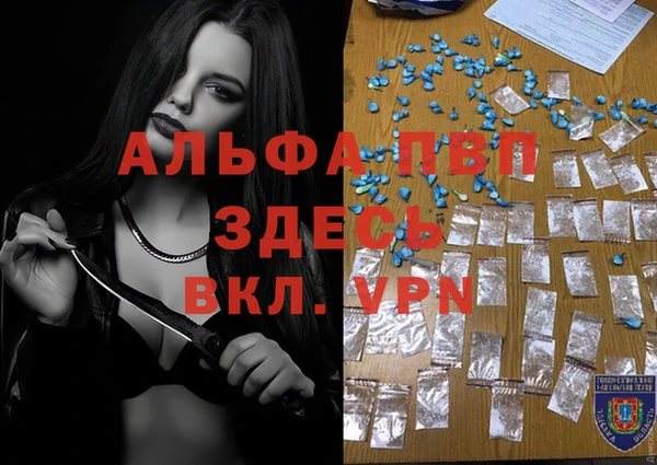 стафф Семилуки