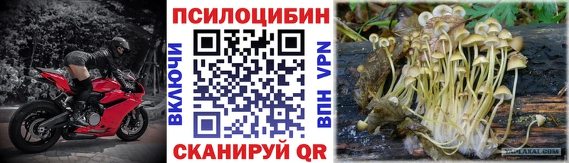 Галлюциногенные грибы Psilocybine cubensis  Купить где  Кемь 