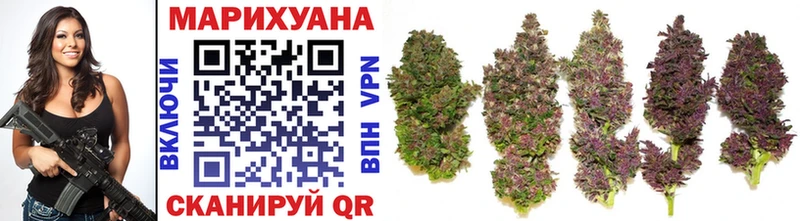 Купить  Кемь  Бошки Шишки план 